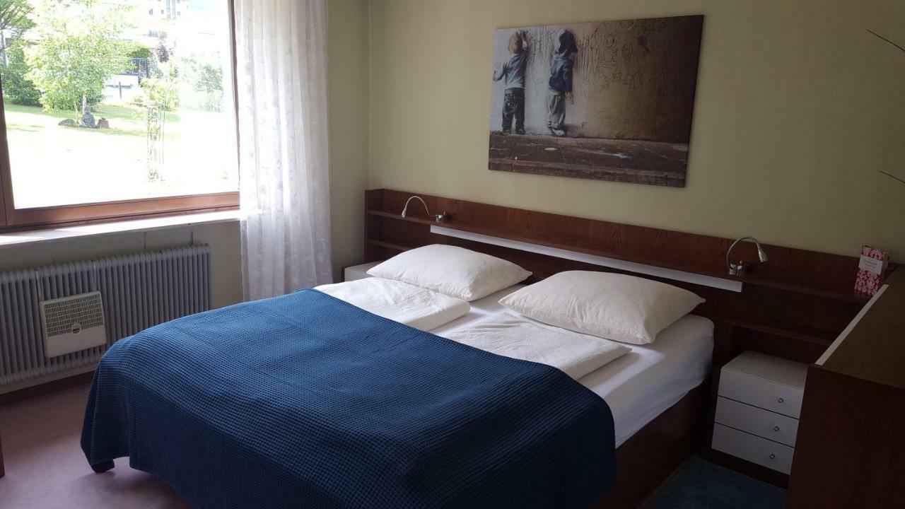 אבטנאו Apartments Almstein מראה חיצוני תמונה